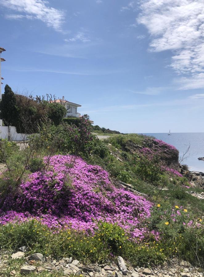 Beachfront Duplex With Terrace And Sea Views - Cadaqués Exterior photo